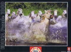 White Camargue Horses Cavalos - 1000 brikker (1)